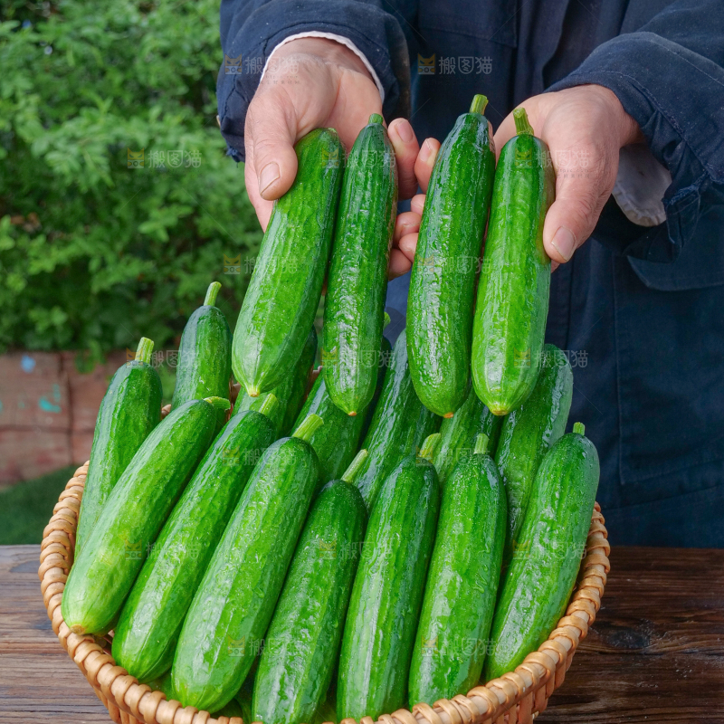 水果黄瓜