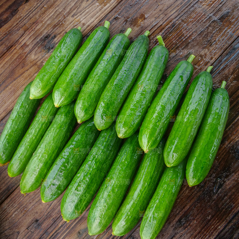水果黄瓜