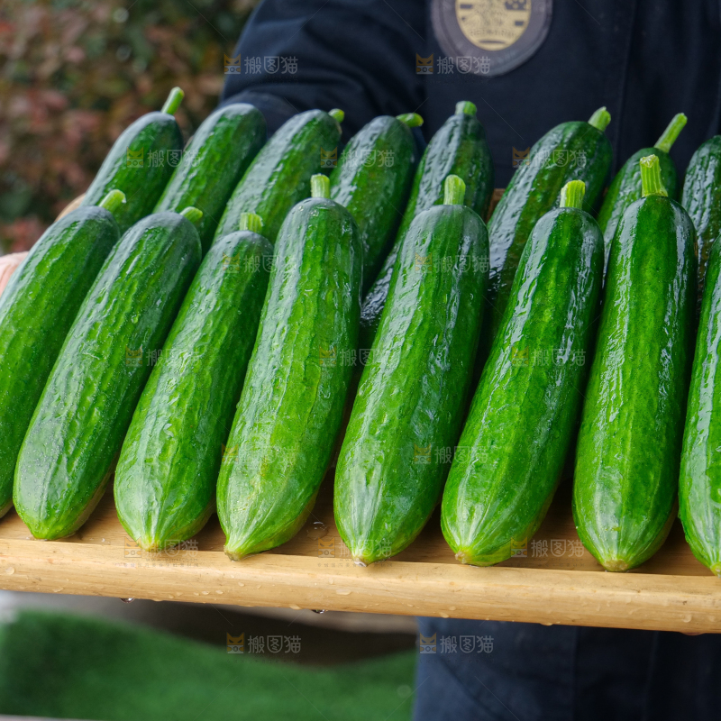 水果黄瓜
