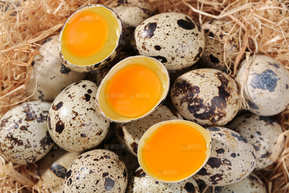 鹌鹑蛋