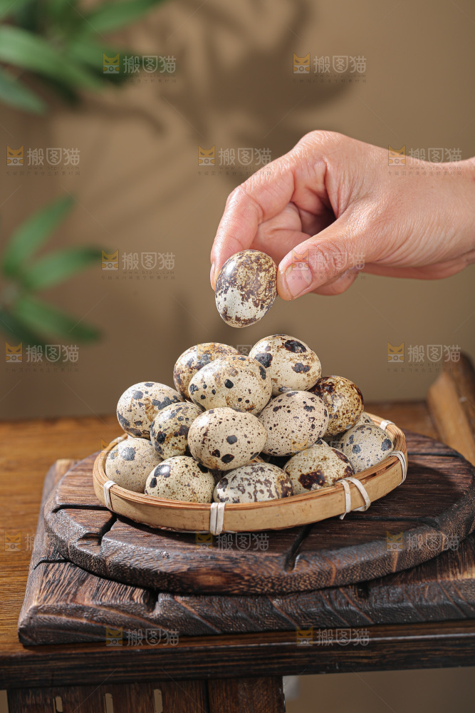 鹌鹑蛋