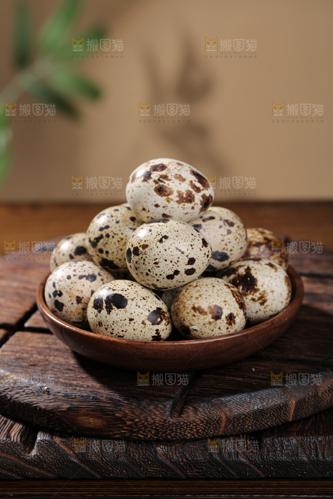 鹌鹑蛋
