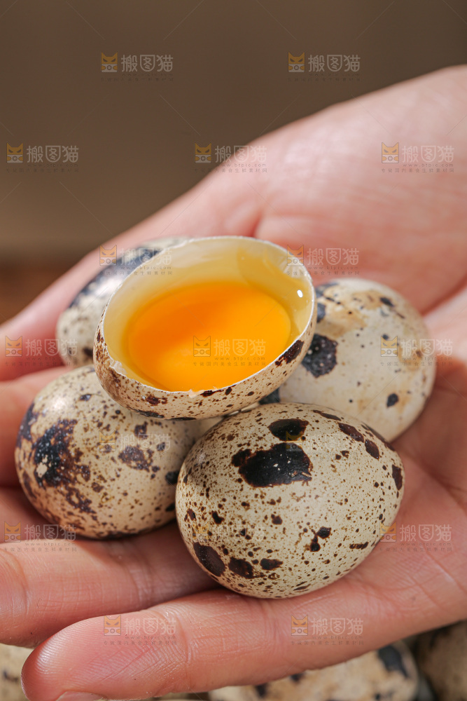 鹌鹑蛋