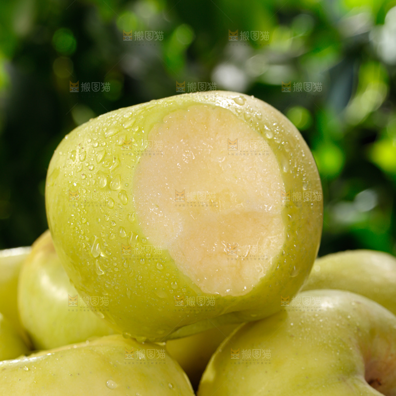 瑞雪苹果