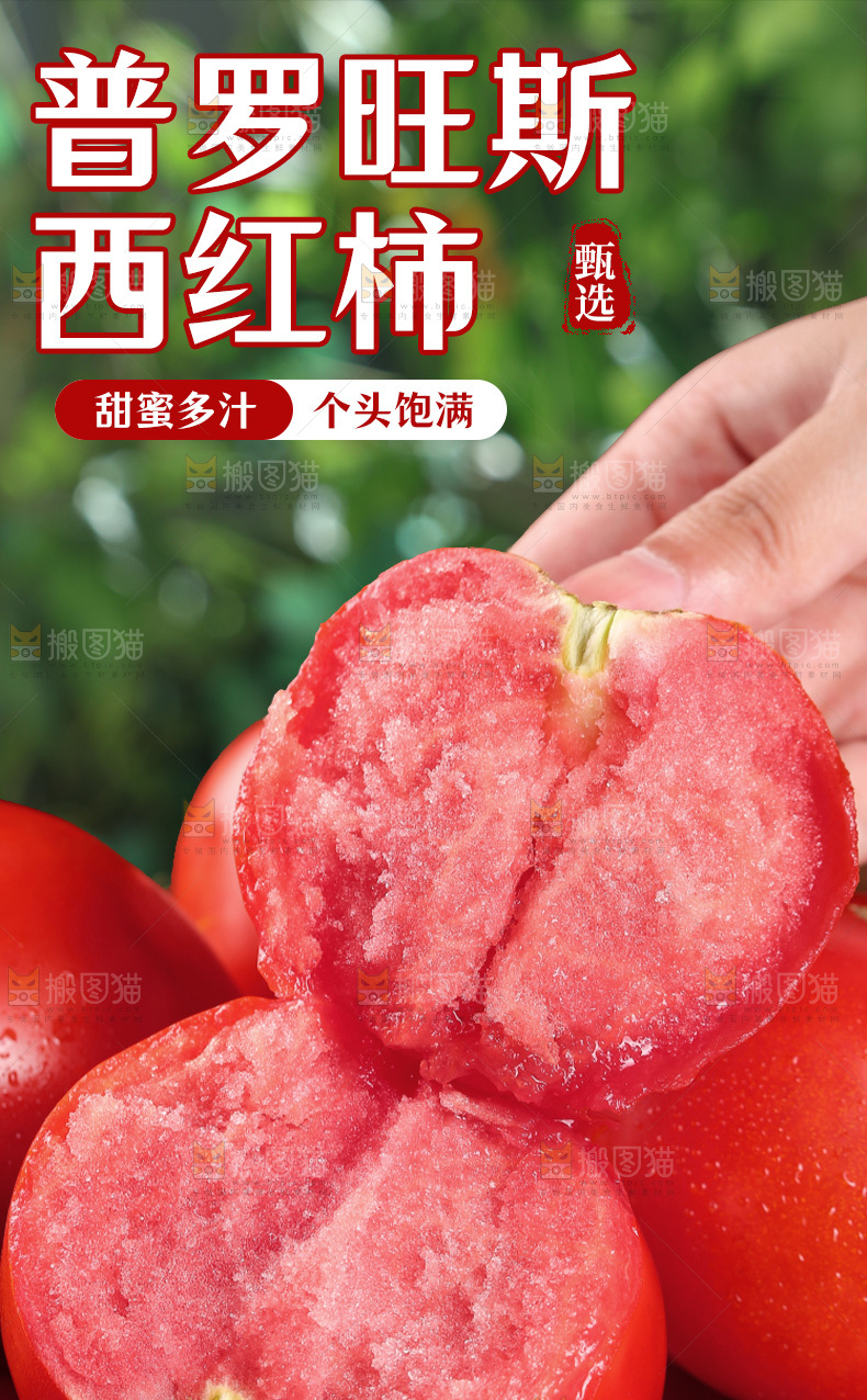 普罗旺斯西红柿详情页