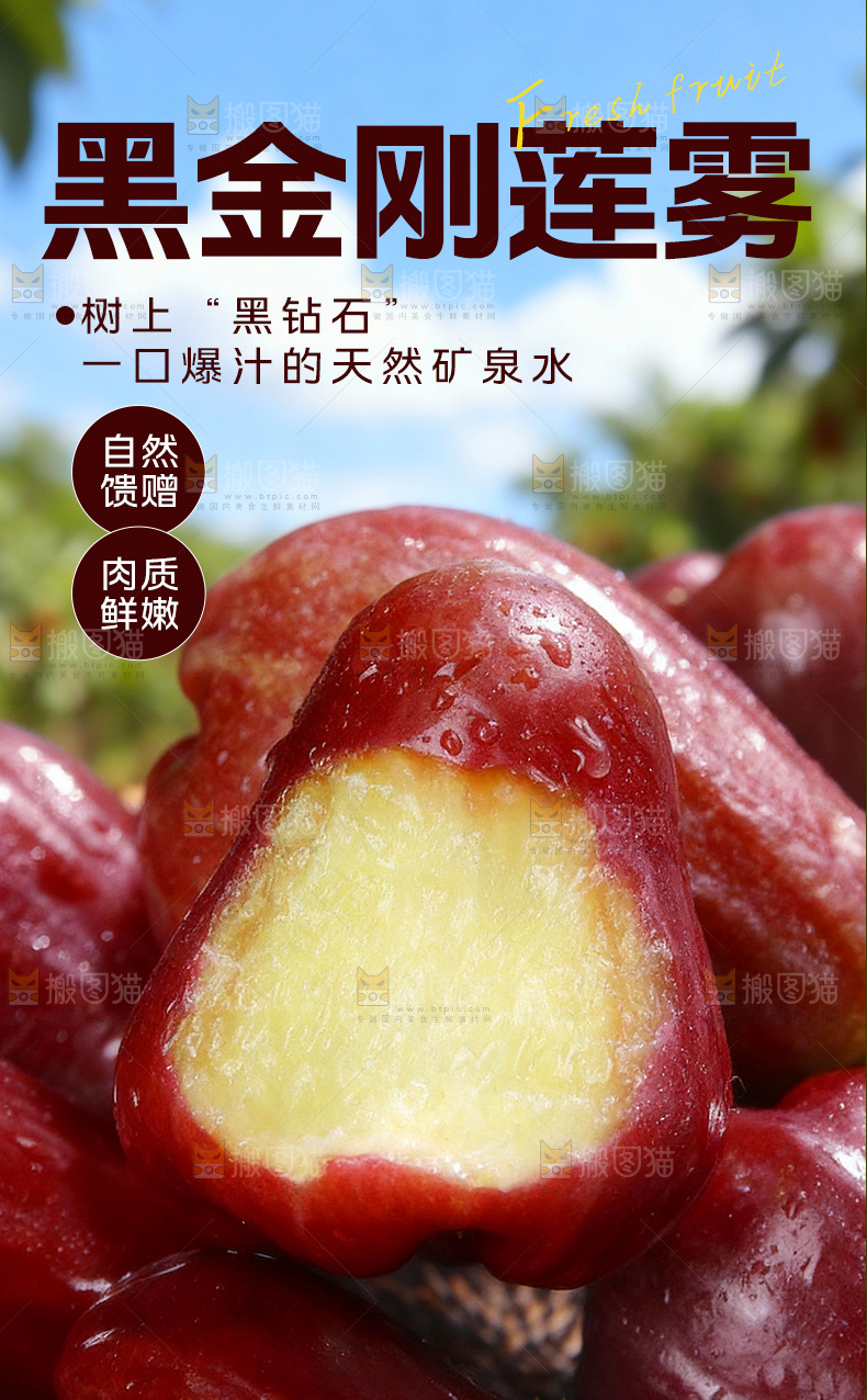 黑金刚莲雾详情页