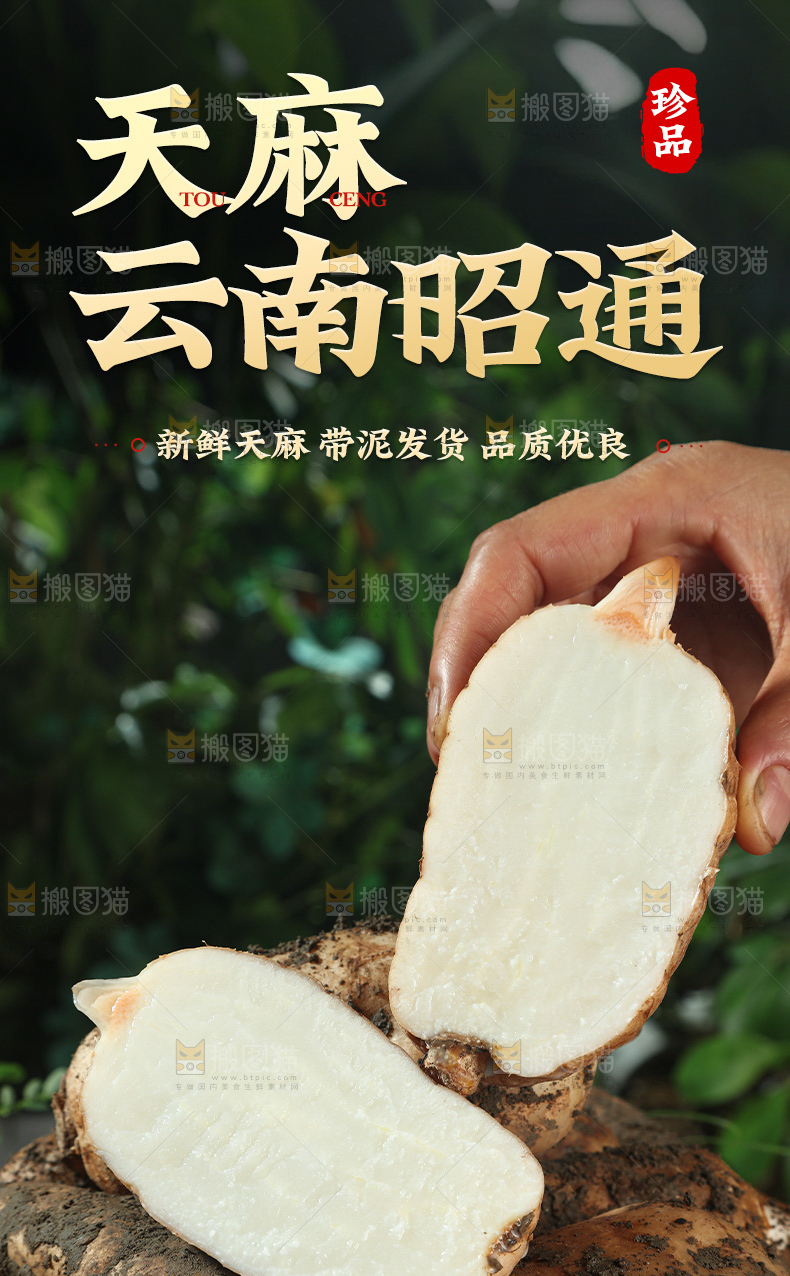 天麻详情页