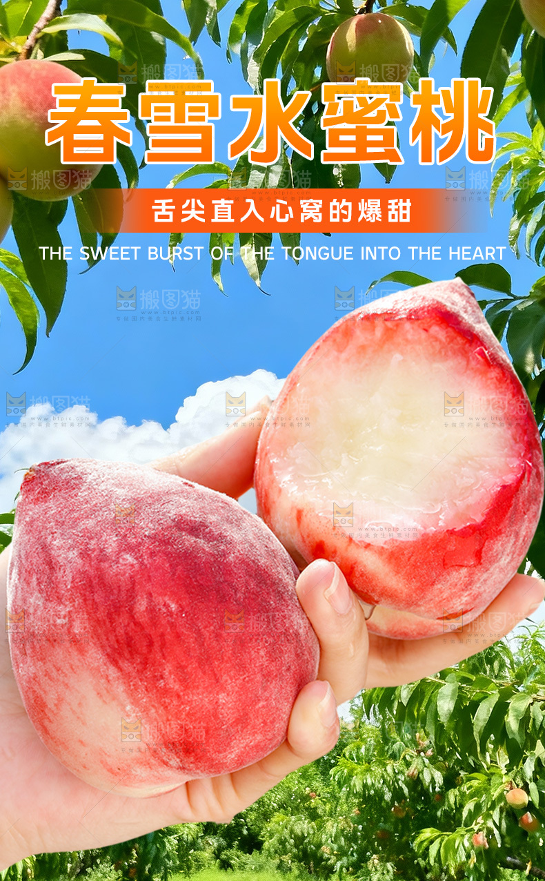 春雪水蜜桃详情页