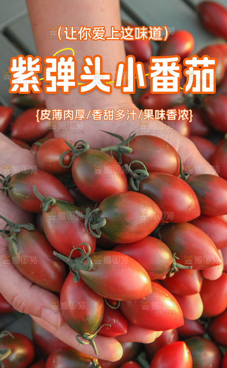 紫弹头番茄详情页