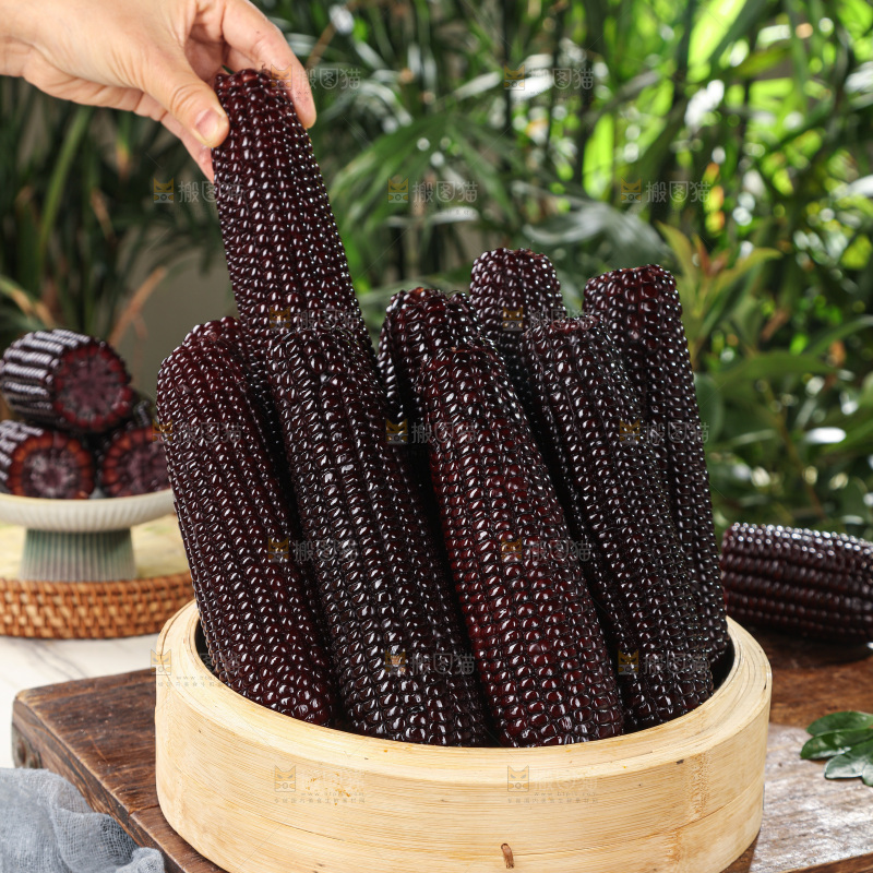 黑糯玉米