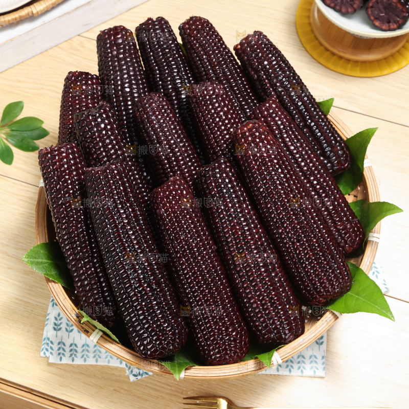 黑糯玉米