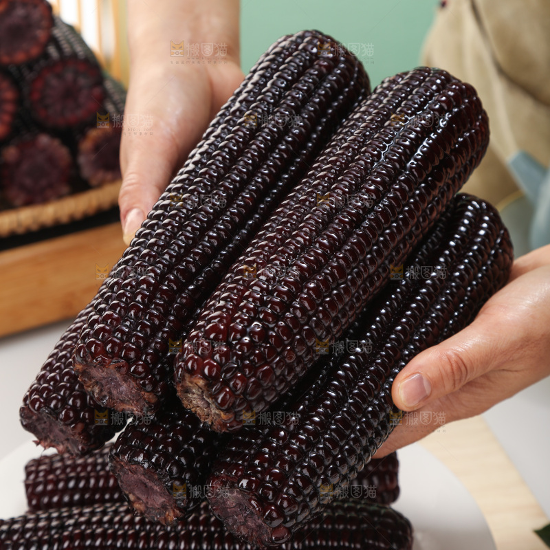 黑糯玉米