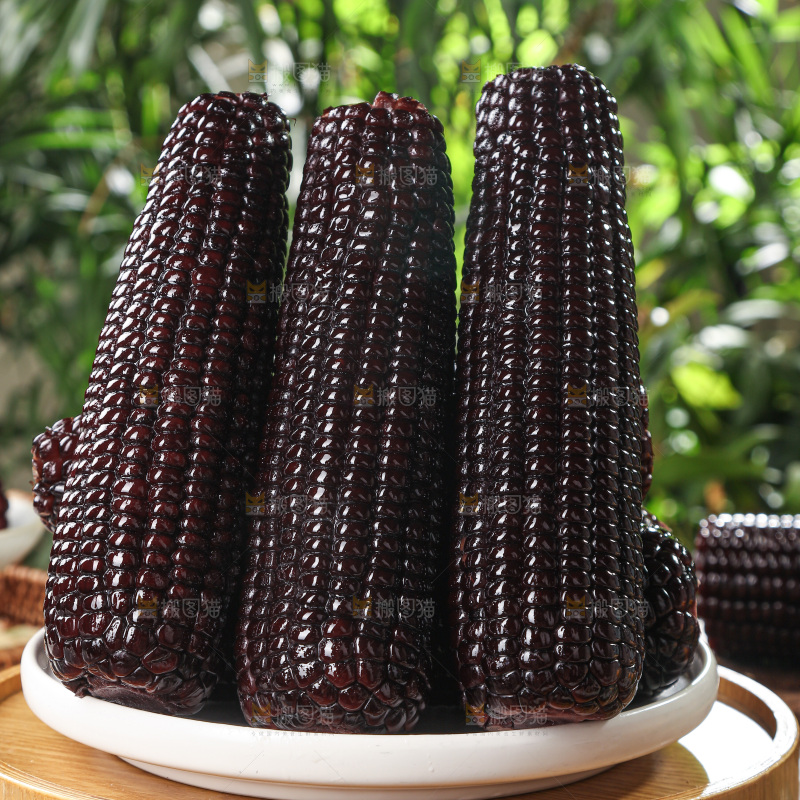 黑糯玉米