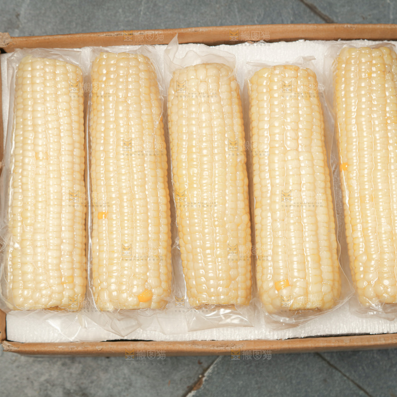 白糯玉米