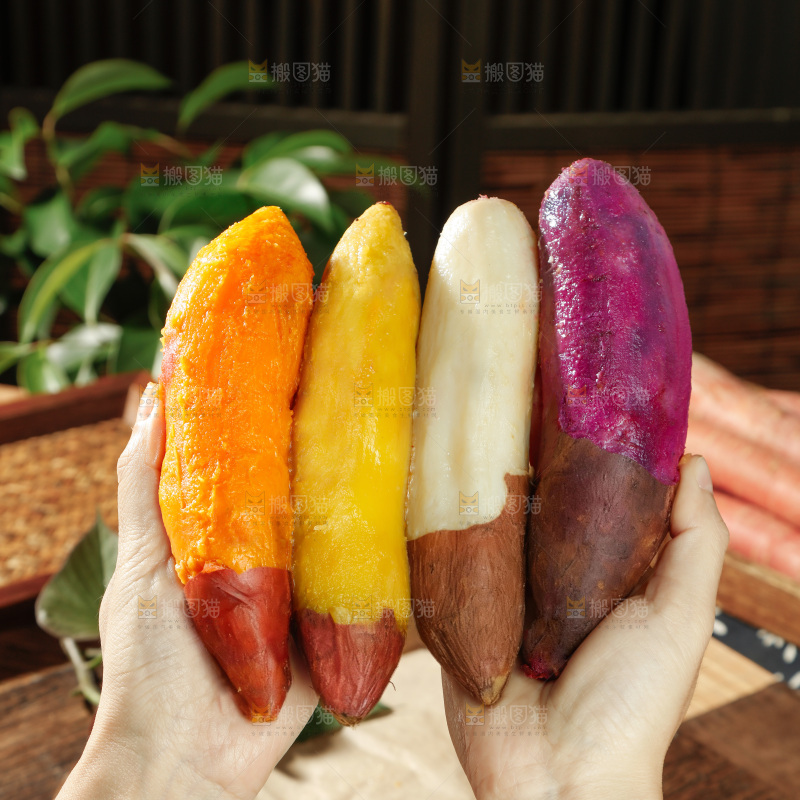 四色蜜薯
