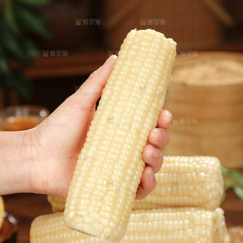 白糯玉米