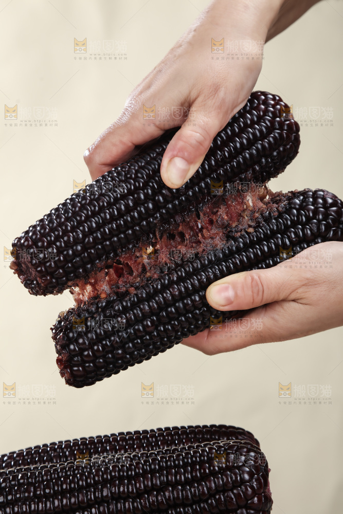 黑糯玉米