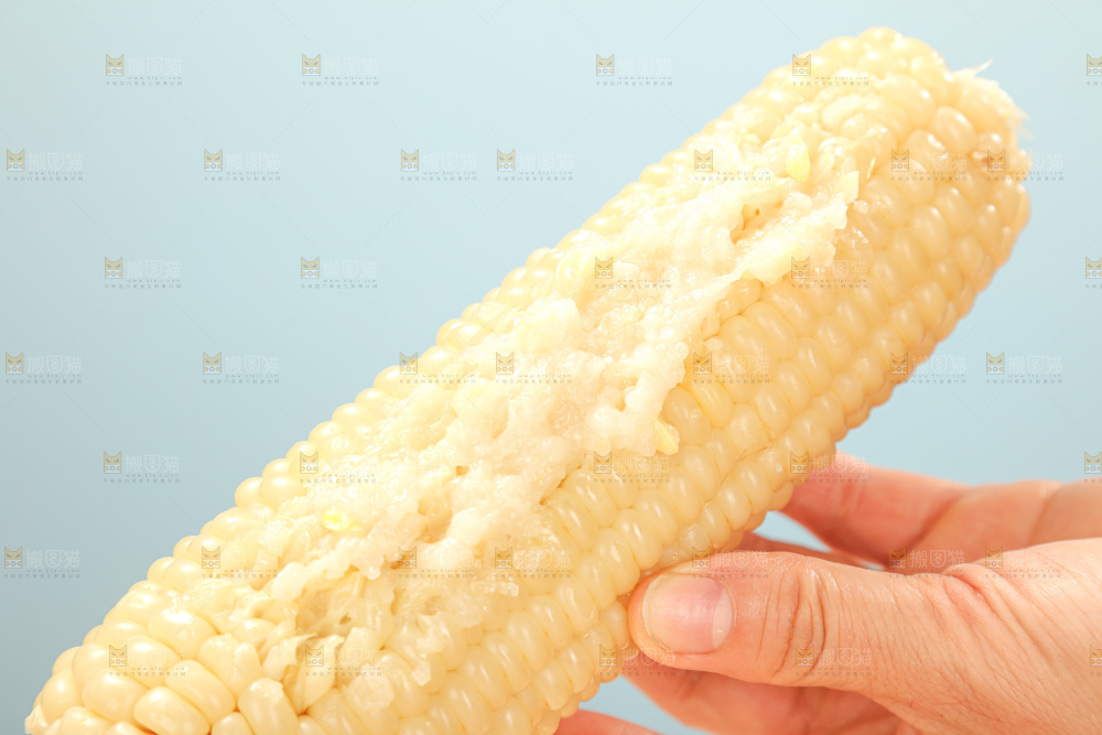 白糯玉米