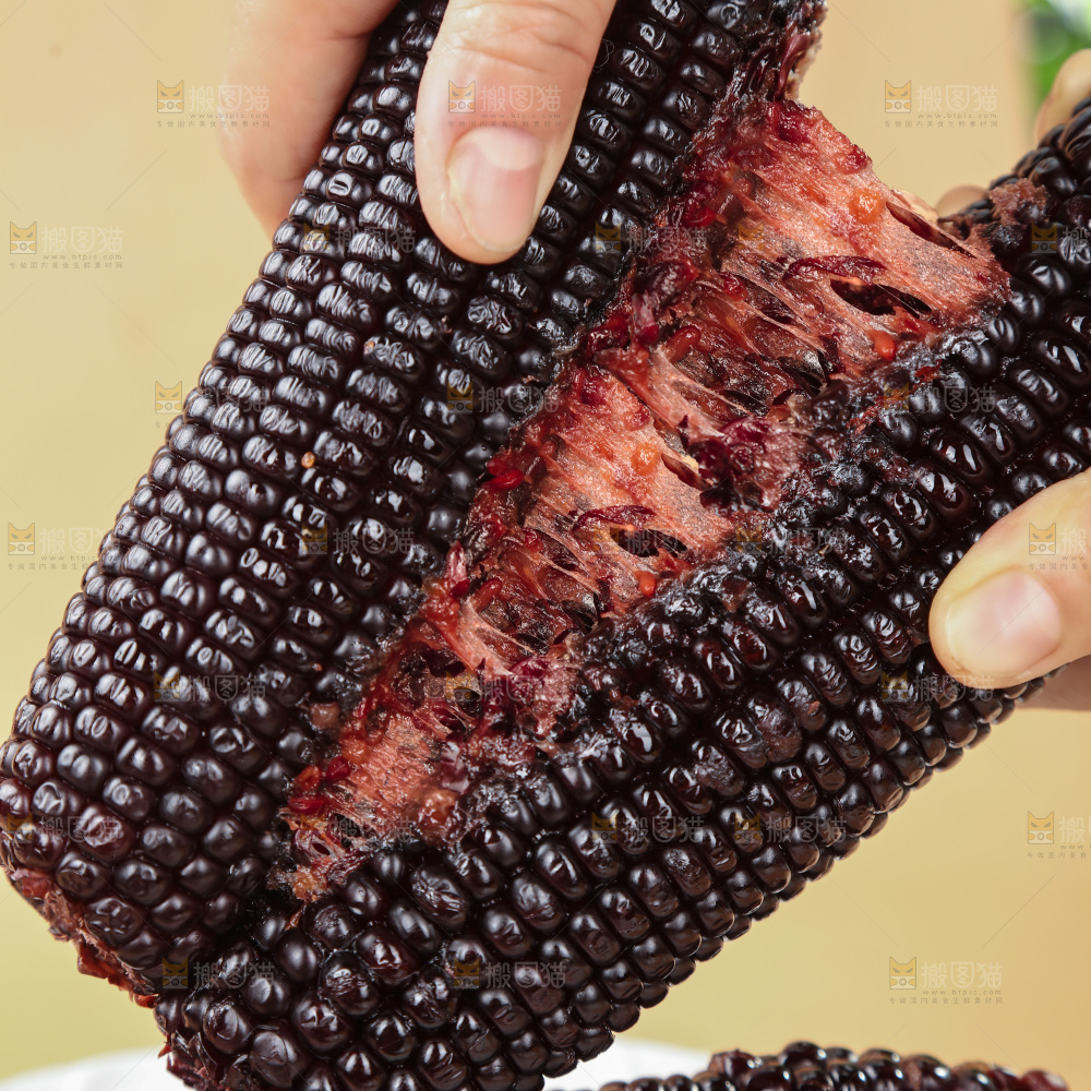 黑糯玉米