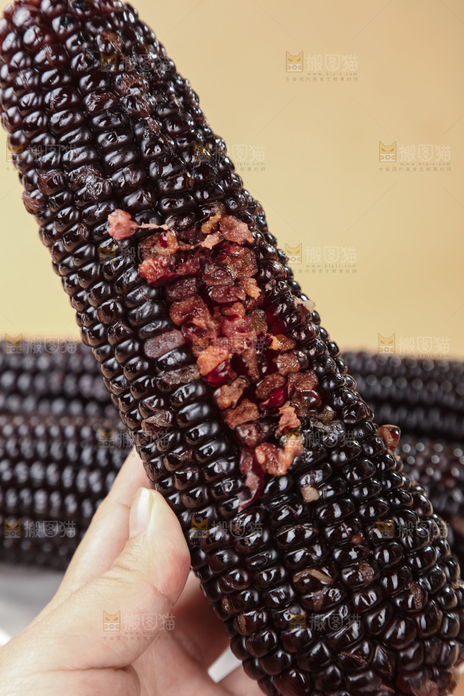 黑糯玉米