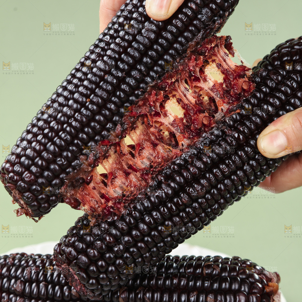 黑糯玉米