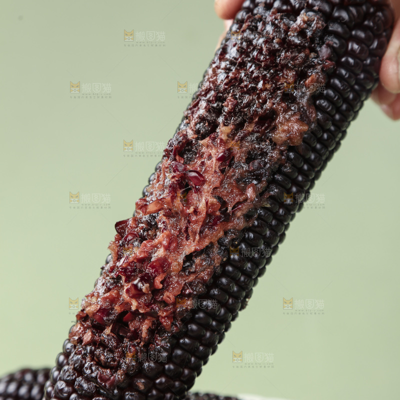 黑糯玉米