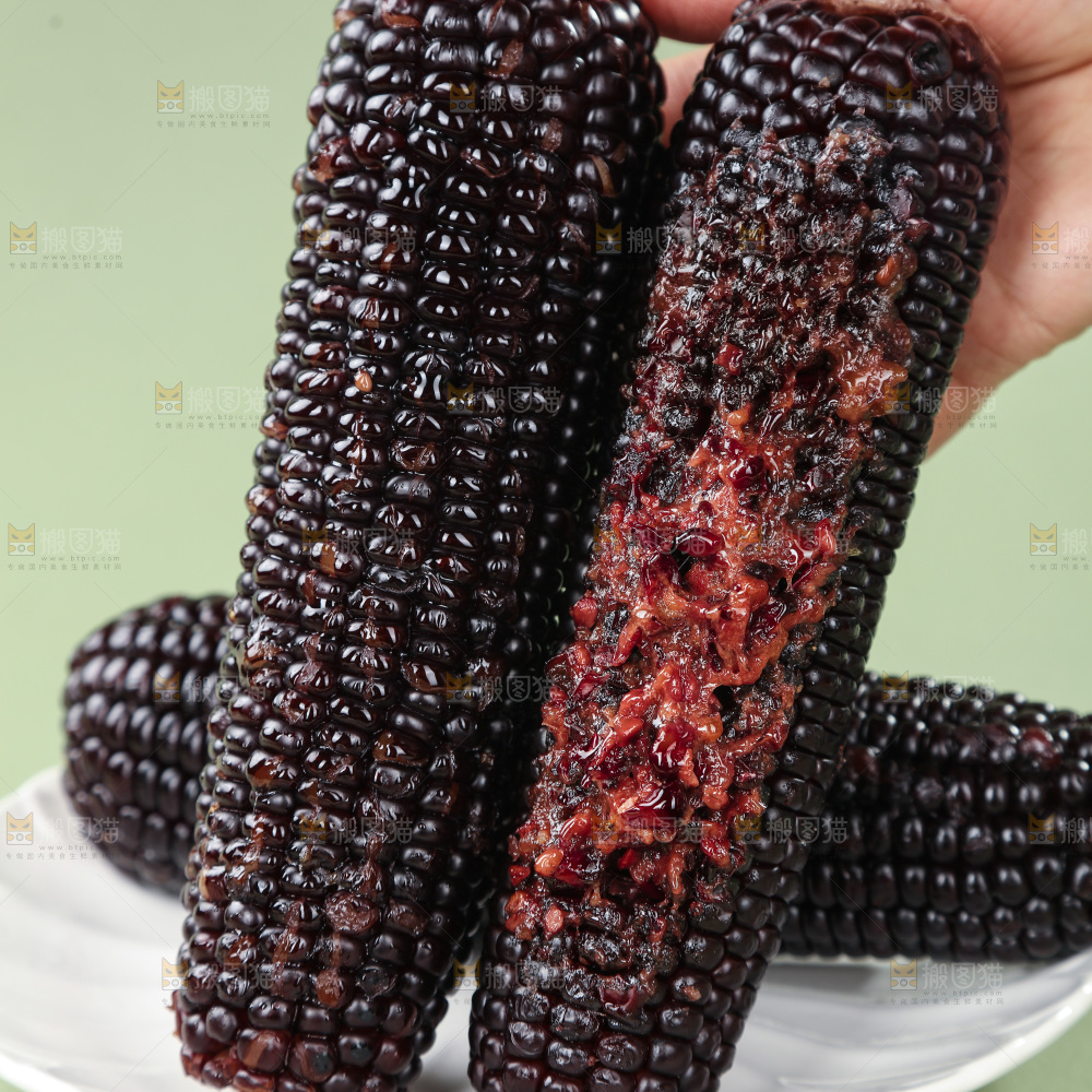 黑糯玉米