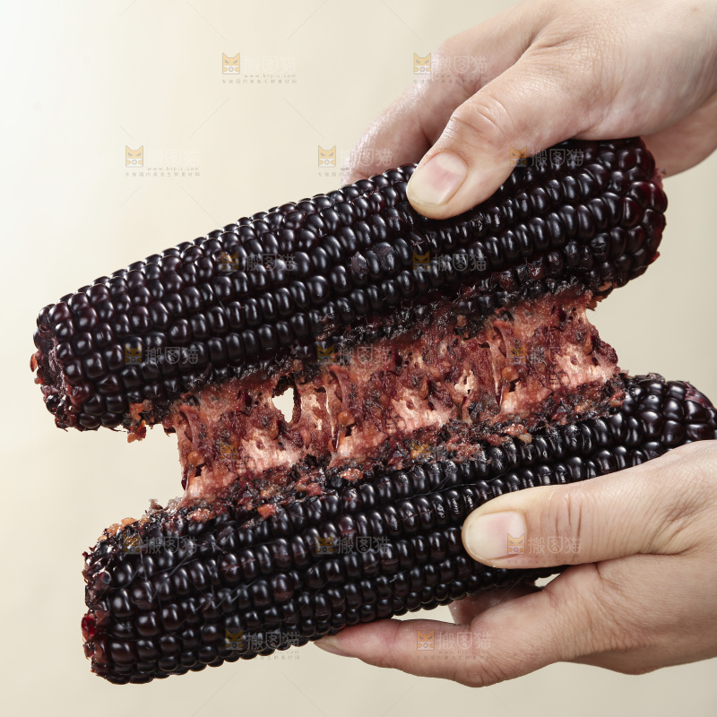 黑糯玉米