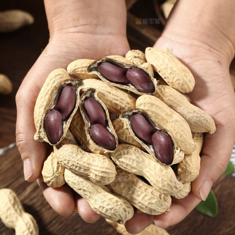 黑皮花生