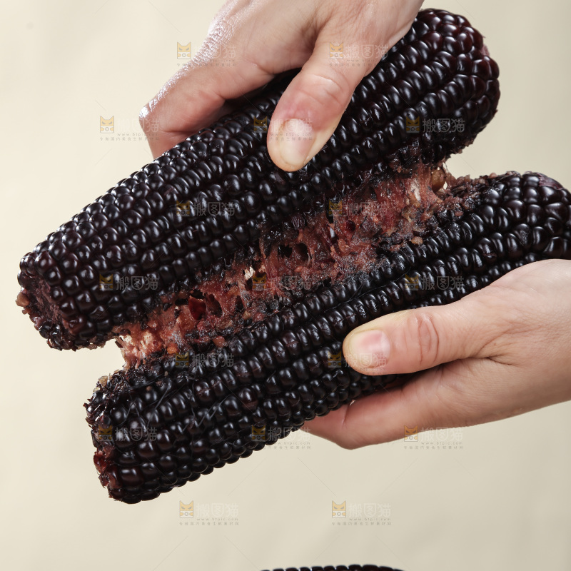 黑糯玉米