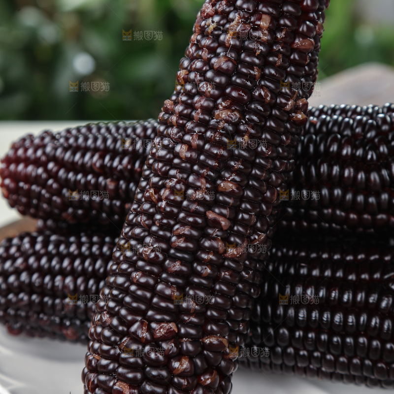 黑糯玉米