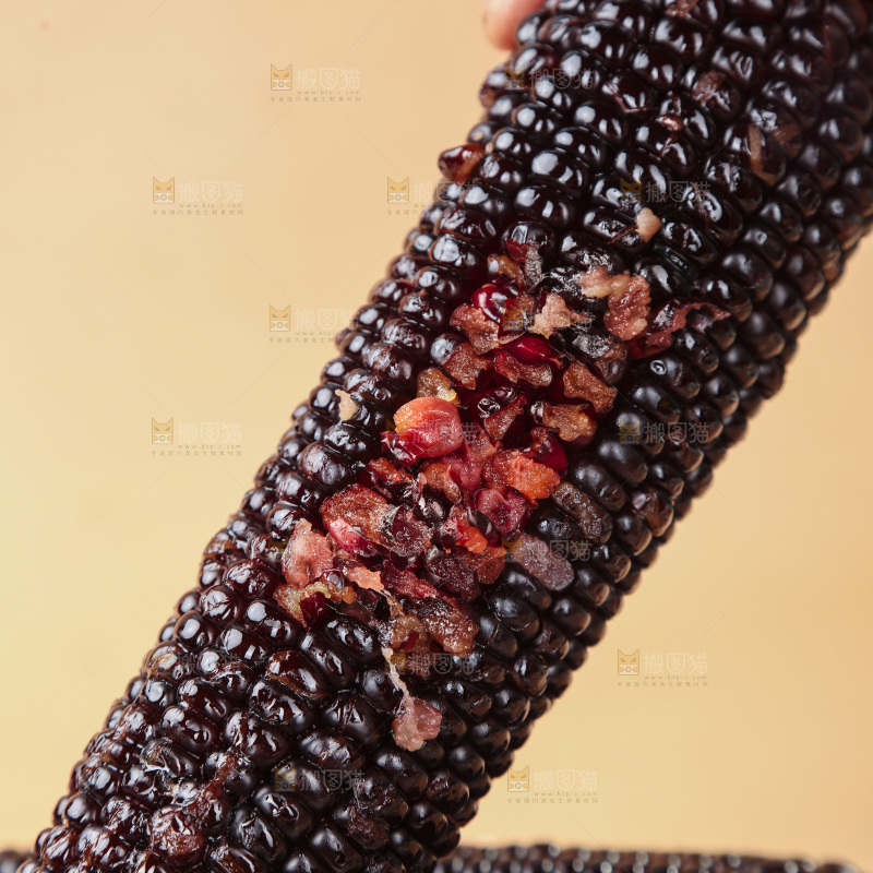 黑糯玉米
