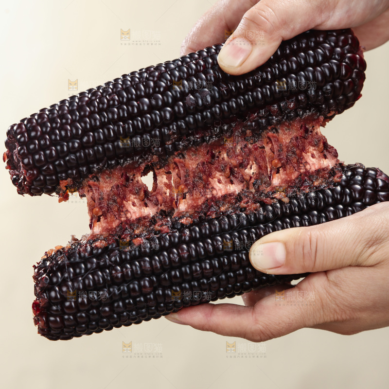 黑糯玉米