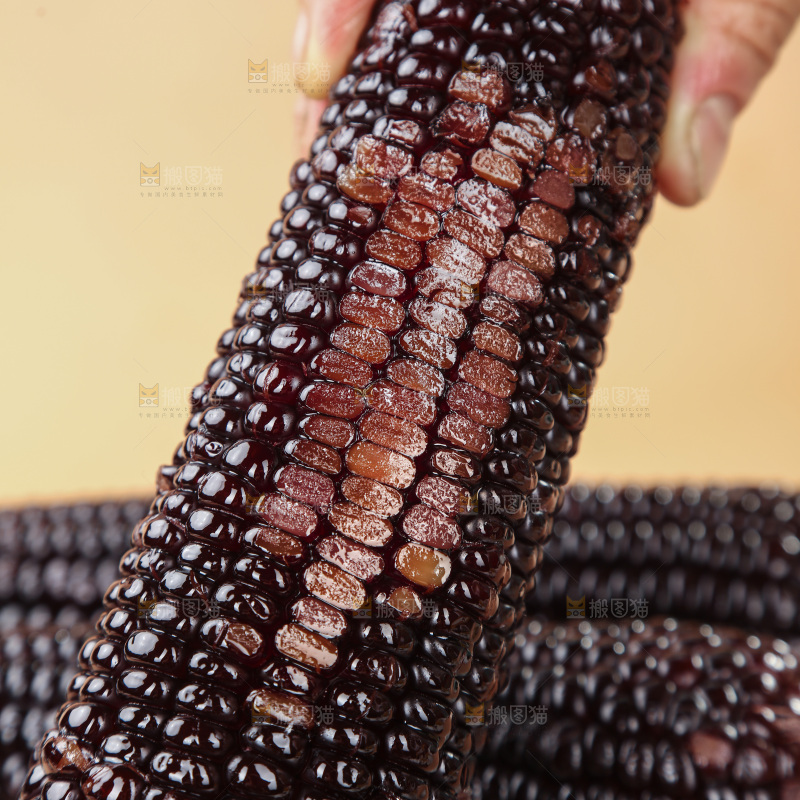 黑糯玉米