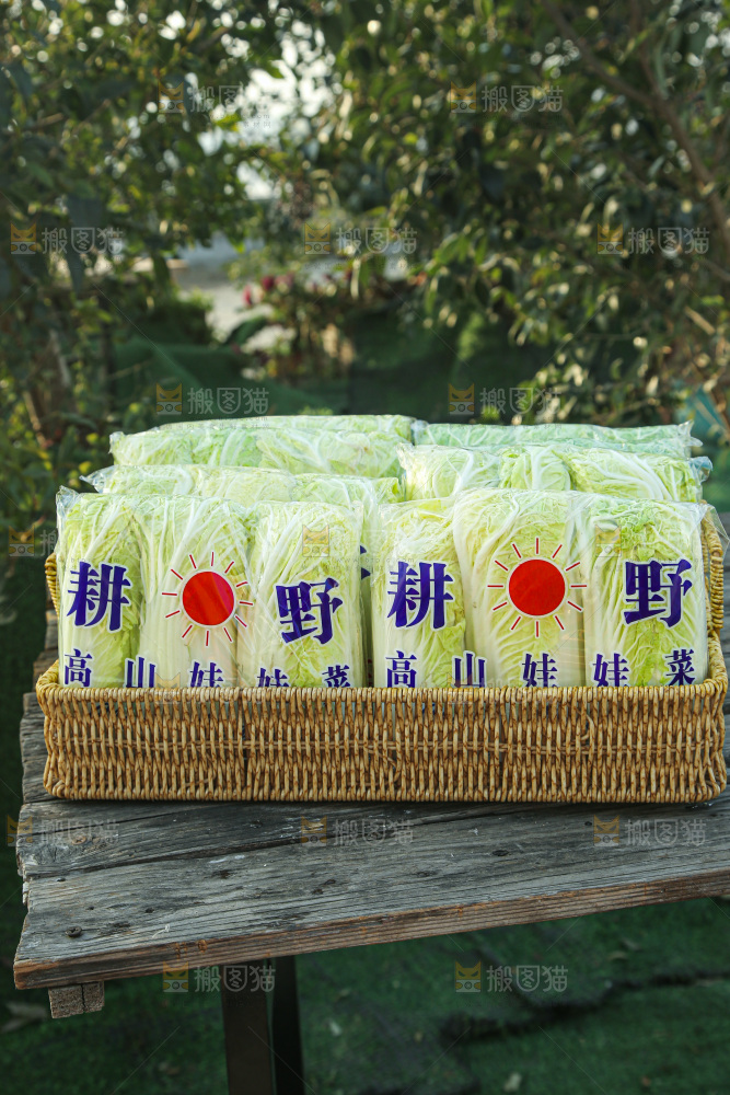 娃娃菜