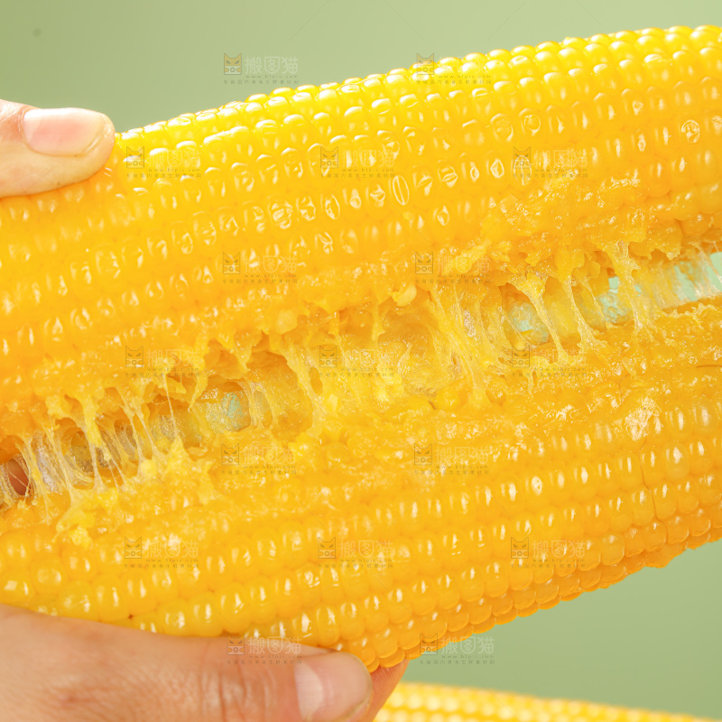 黄糯玉米