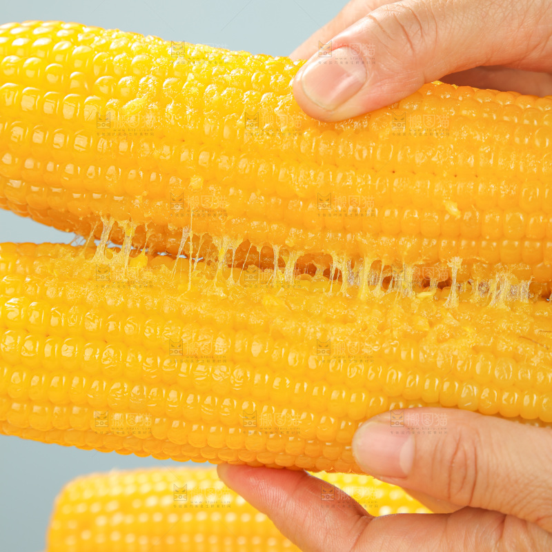 黄糯玉米