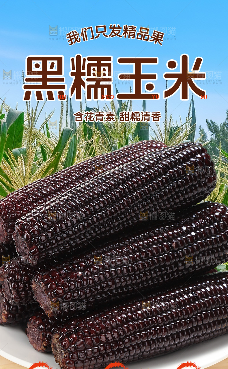 黑糯玉米详情页