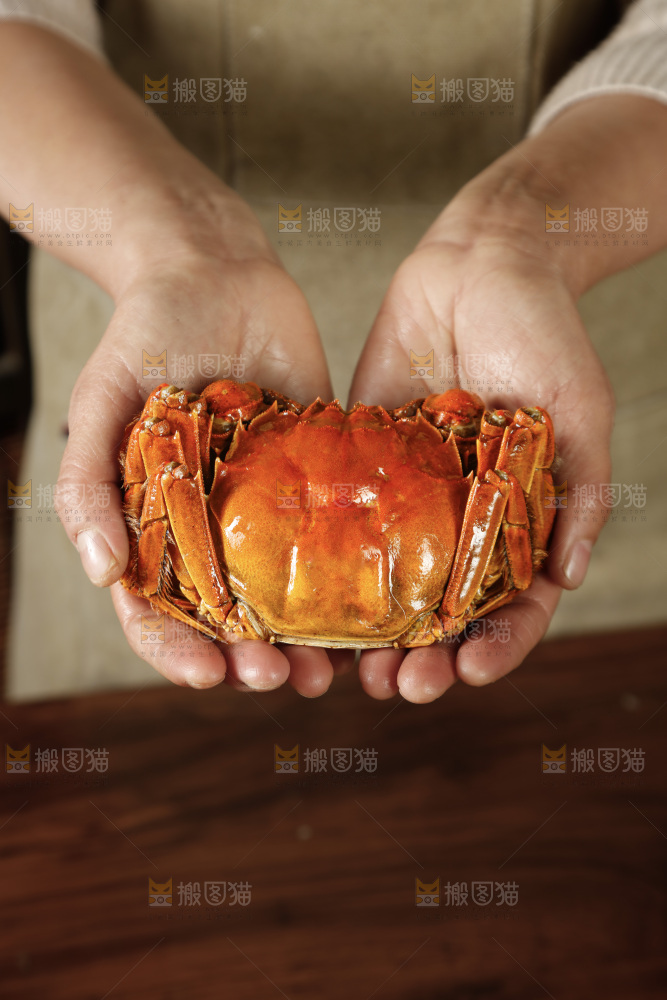 大闸蟹