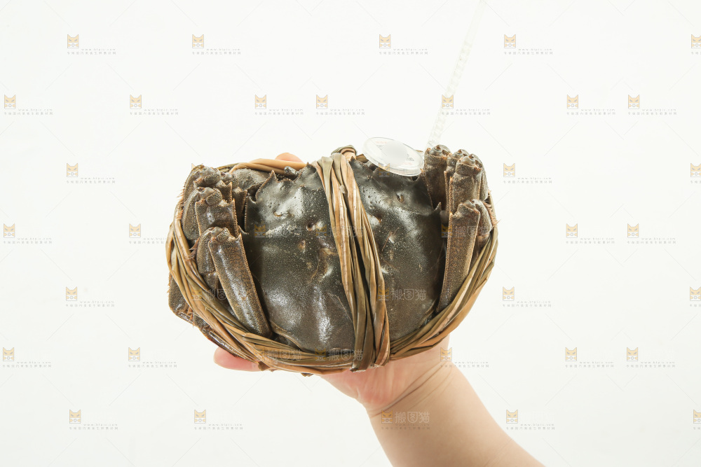 大闸蟹