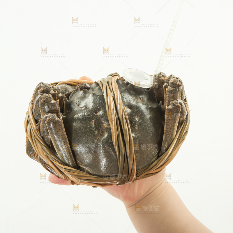 大闸蟹