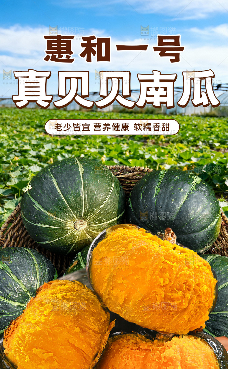 贝贝南瓜详情页