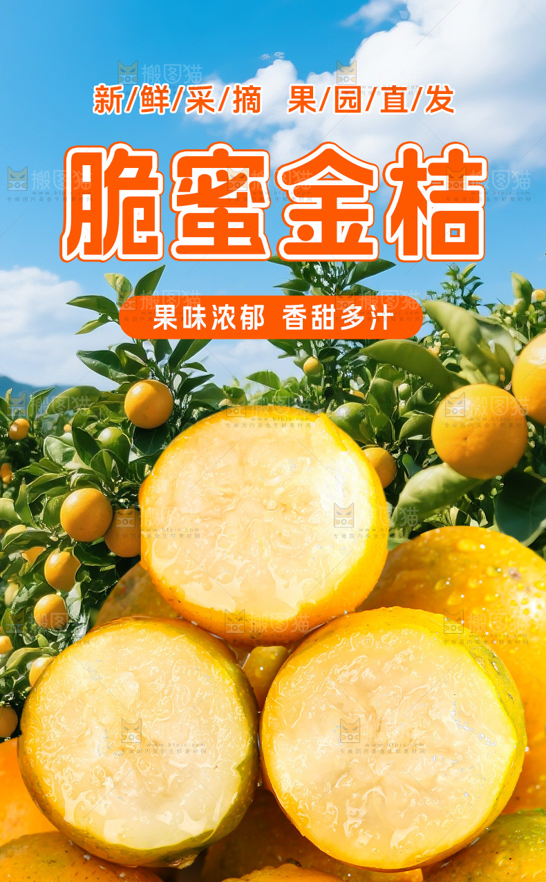 脆皮金桔详情页