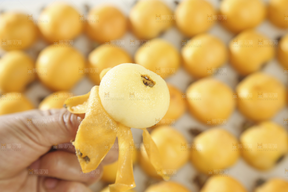 白玉枇杷