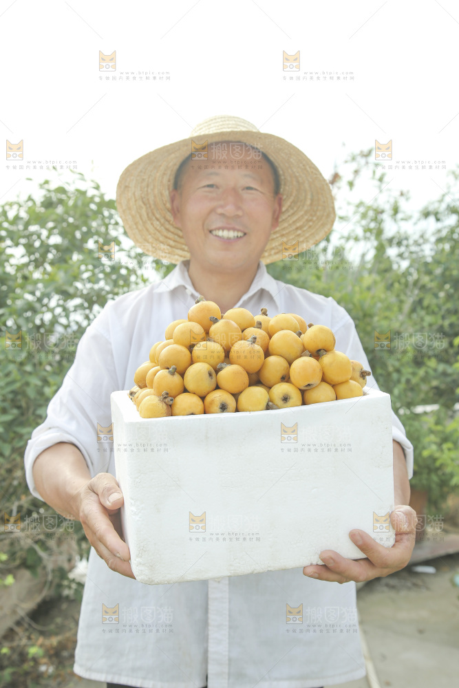 白玉枇杷