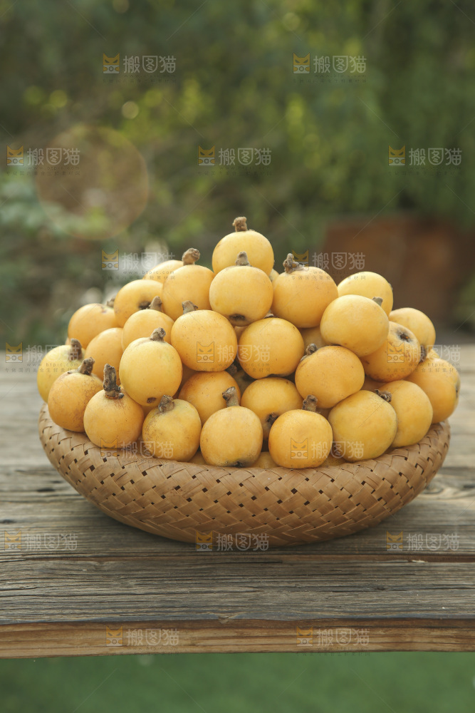 白玉枇杷