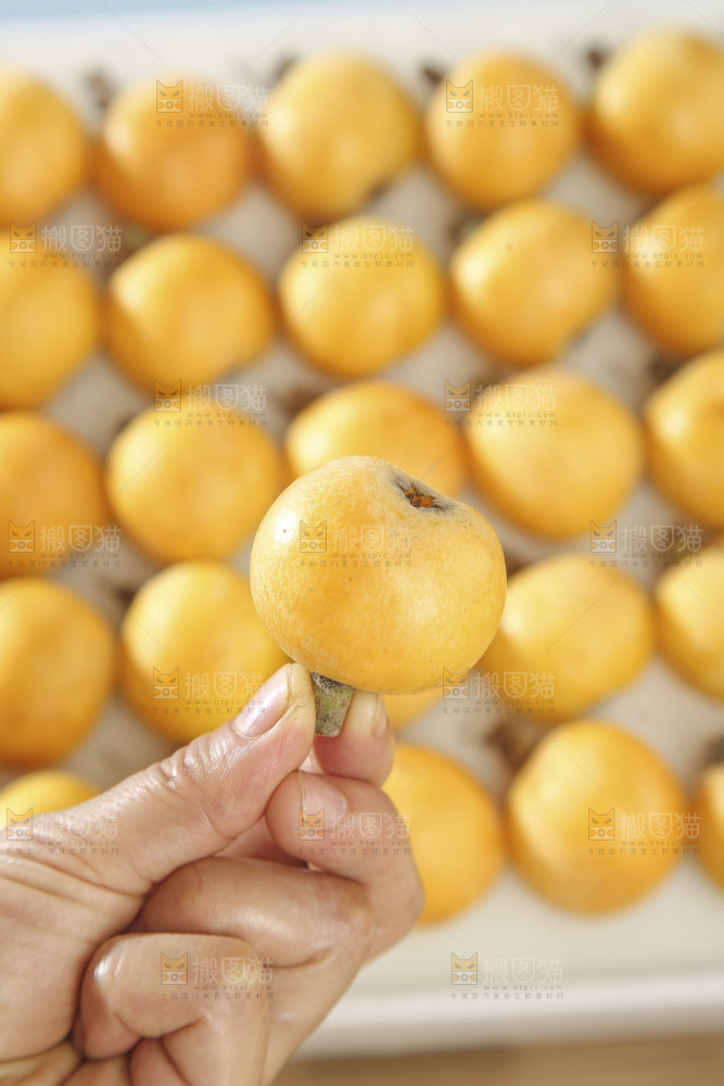 白玉枇杷