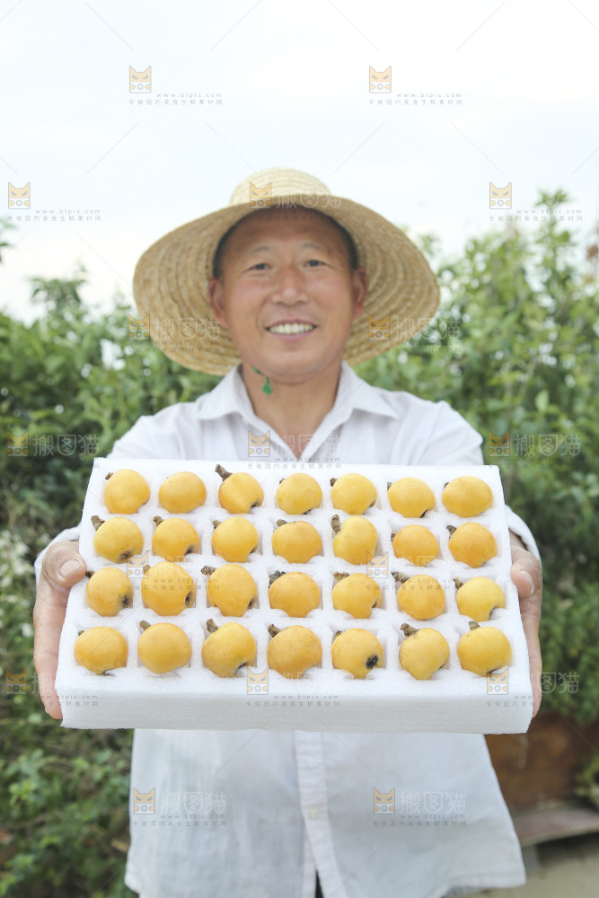 白玉枇杷