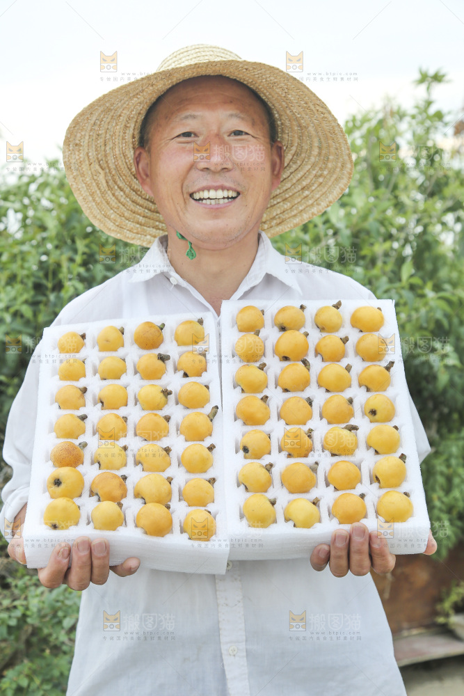 白玉枇杷