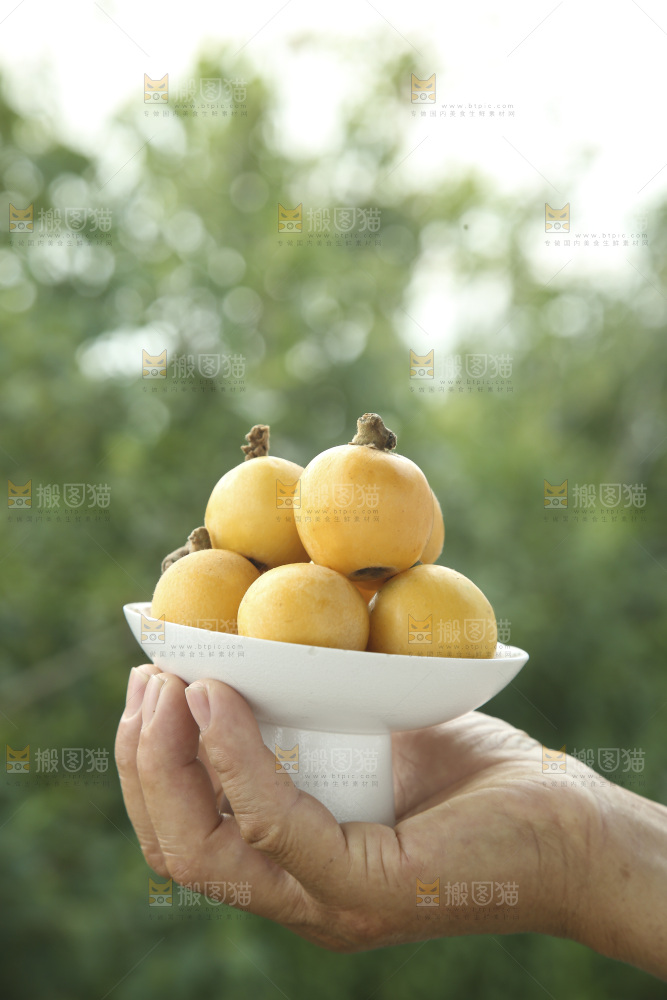 白玉枇杷